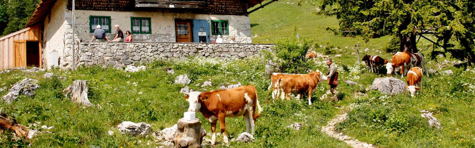 Casa Salesai Carano Vacanze in Val di Fiemme in Trentino
